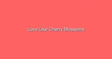 love like cherry blossoms 17360