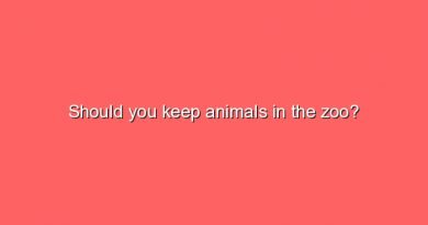 should you keep animals in the zoo 9458