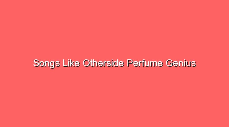 songs like otherside perfume genius 20353