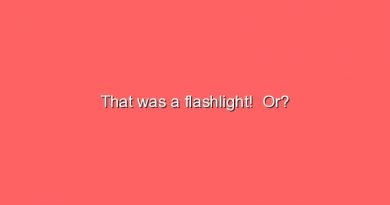 that was a flashlight or 8131