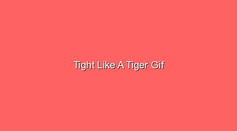 tight like a tiger gif 17697