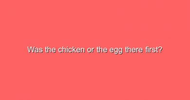 was the chicken or the egg there first 7804