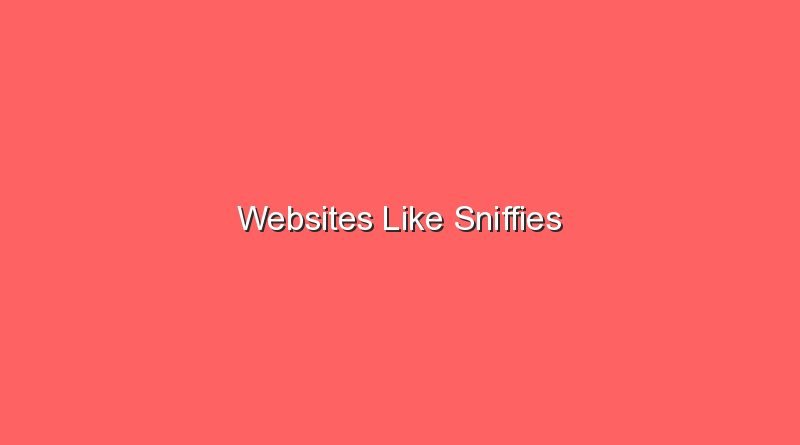 websites like sniffies 17701