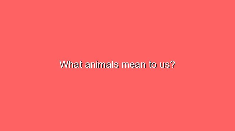 what animals mean to us 11077