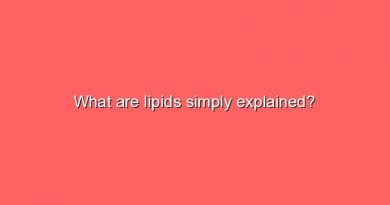 what are lipids simply explained 8322