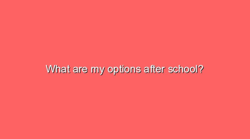 What Are My Options After College