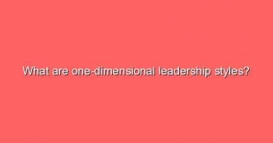 what are one dimensional leadership styles 11015