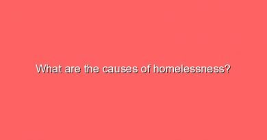 what are the causes of homelessness 7883