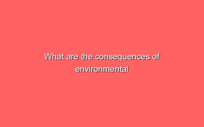 what-are-the-consequences-of-environmental-pollution-what-are-the