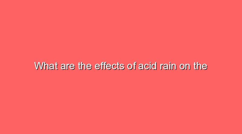 what are the effects of acid rain on the environment 11712