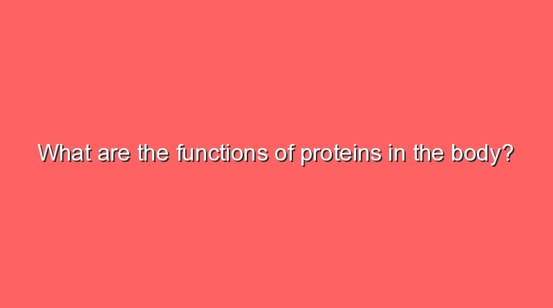 what are the functions of proteins in the body 8534