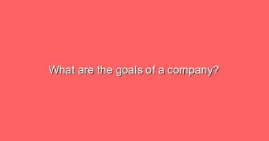 what are the goals of a company 11373