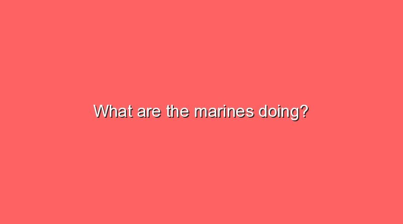 what are the marines doing 5728