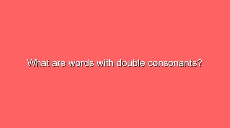 what-are-words-with-double-consonants-sonic-hours