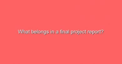 what belongs in a final project report 8380