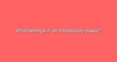 what belongs in an introductory essay 6451