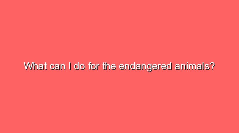 what can i do for the endangered animals 12131