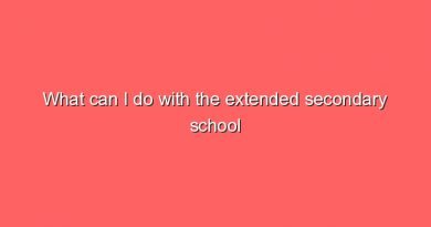 what can i do with the extended secondary school certificate 9588