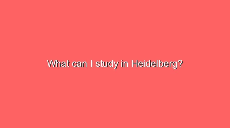 what can i study in heidelberg 9465