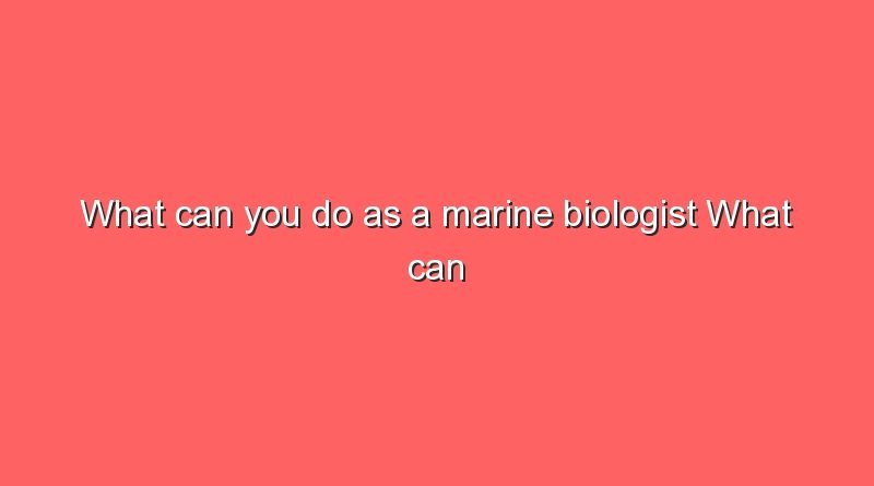 what can you do as a marine biologist what can you do as a marine biologist 7339