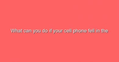 what can you do if your cell phone fell in the toilet 8463