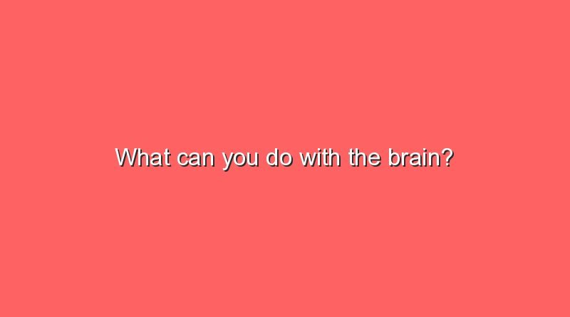 what can you do with the brain 16708