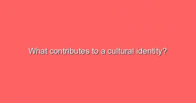 what contributes to a cultural identity 11834