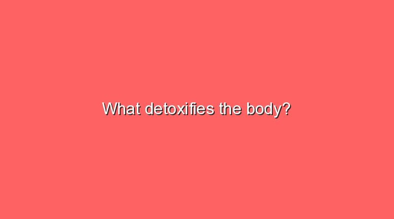 what detoxifies the body 11464