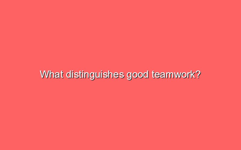 what-distinguishes-good-teamwork-sonic-hours