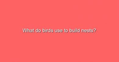 what do birds use to build nests 7285