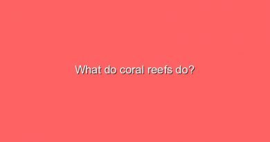 what do coral reefs do 9742