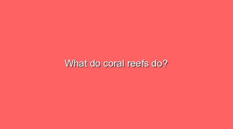 what do coral reefs do 9742