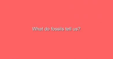 what do fossils tell us 7543