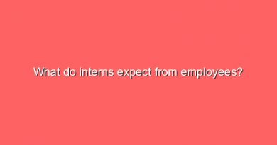 what do interns expect from employees 8376