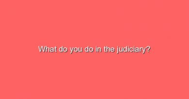 what do you do in the judiciary 11792