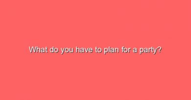 what do you have to plan for a party 12030