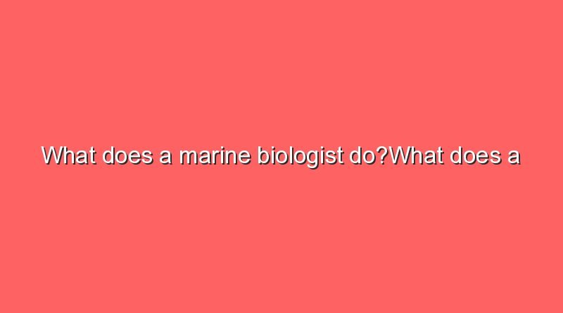 what does a marine biologist dowhat does a marine biologist do 9948