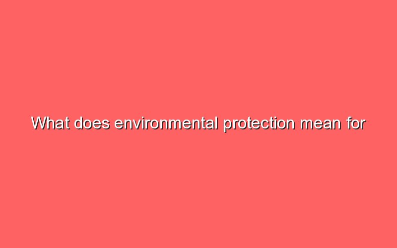 what-does-environmental-protection-mean-for-children-sonic-hours