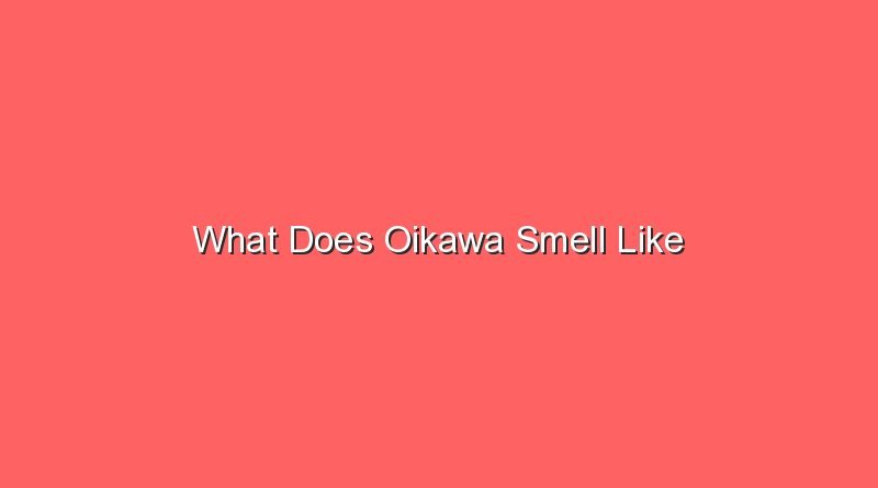 what does oikawa smell like 20508