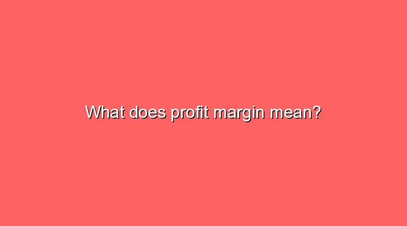 what does profit margin mean 10255