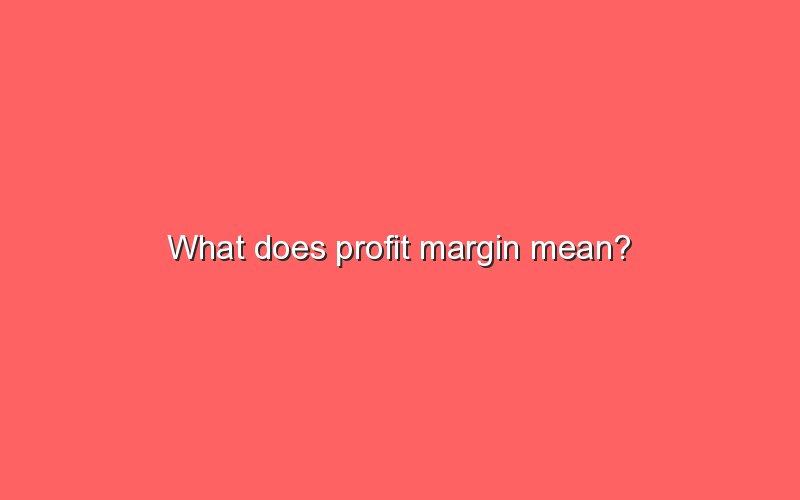 what-does-profit-margin-mean-sonic-hours