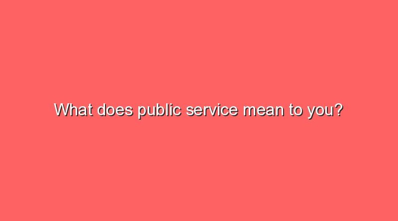 what does public service mean to you 11225
