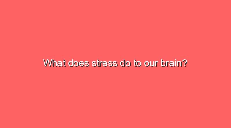 what does stress do to our brain 8623