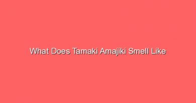 what does tamaki amajiki smell like 20510