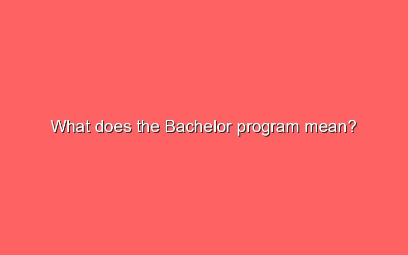 what-does-the-bachelor-program-mean-sonic-hours