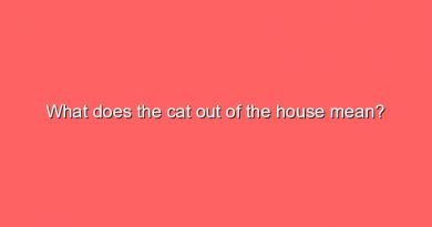 what does the cat out of the house mean 9493