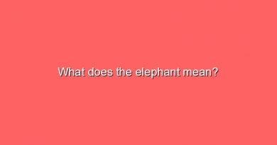 what does the elephant mean 8082