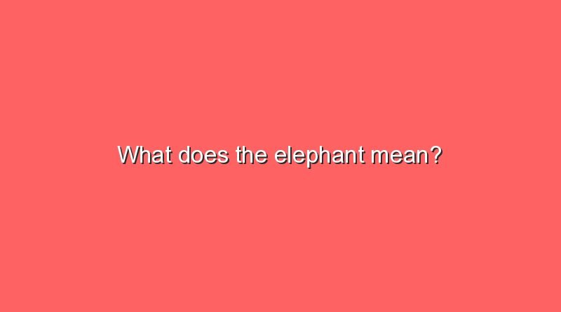 what does the elephant mean 8082