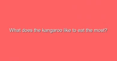 what does the kangaroo like to eat the most 9683