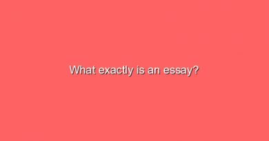 what exactly is an essay 6245